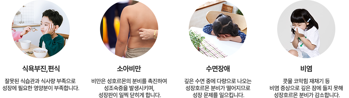 컨텐츠 이미지